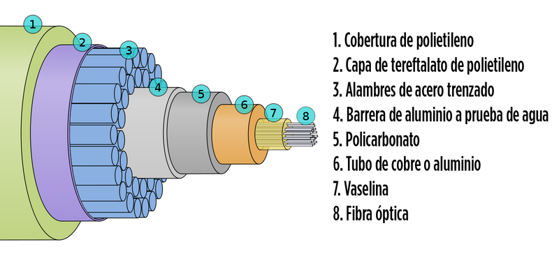 Infografía: Wikipedia